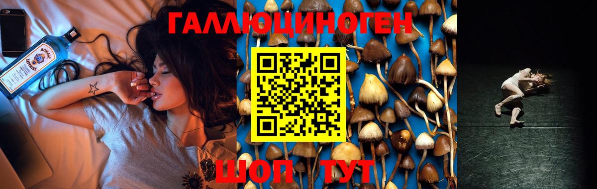 Псилоцибиновые грибы Psilocybe Лабинск